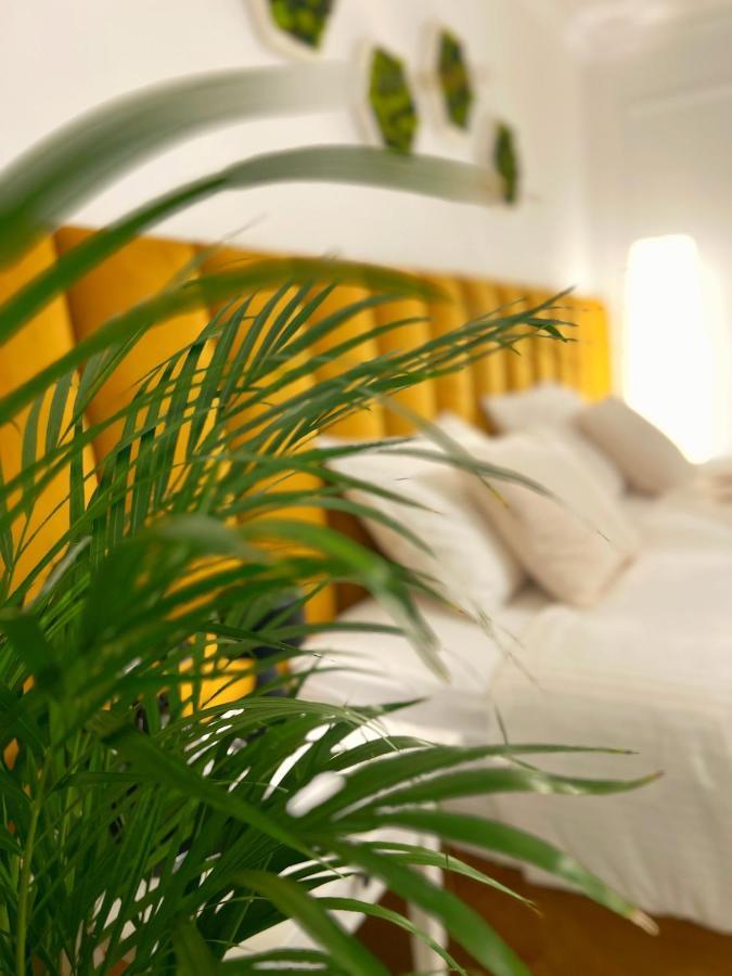 Studio 118 - A Luxury Place,10Min Walk To City Center Timisoara Bagian luar foto